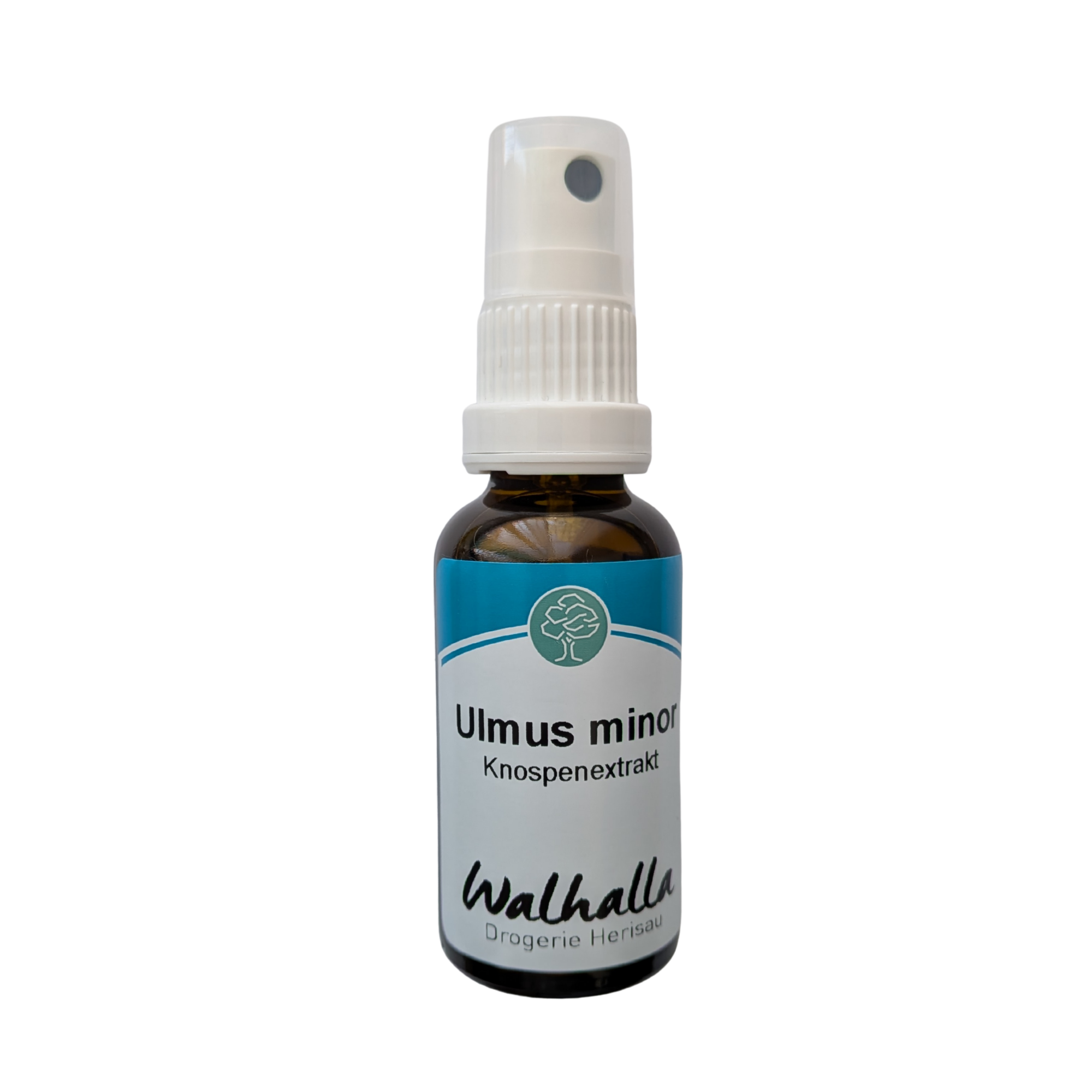 GEMMO EM ULMUS MINOR 30ML