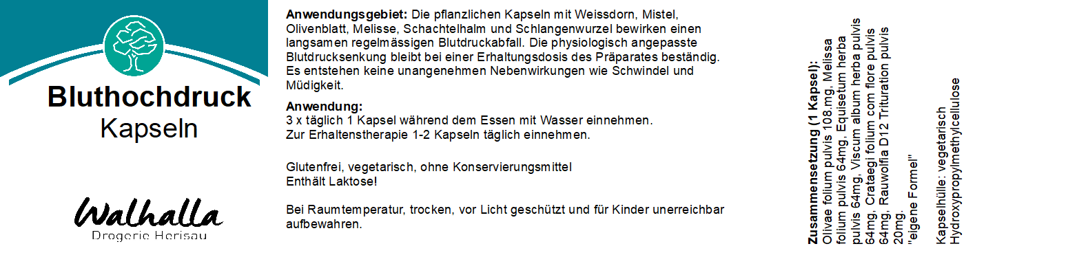 BLUTHOCHDRUCK KAPSELN 90 STK