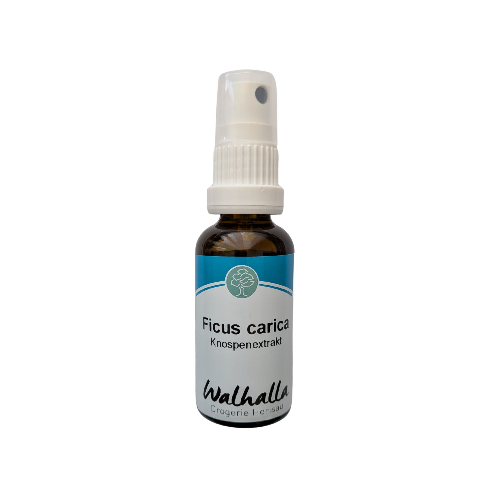 GEMMO EM FICUS CARIACA 30ML